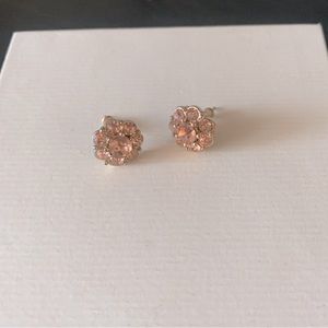 Fashion Jewelry Rose/Gold Stud Earrings